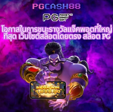 betflik 249