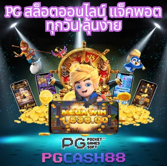 betflik 249